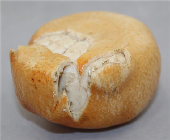 A Japanese coloured ivory model of a partially peeled satsuma, early 20th century, 7cm.